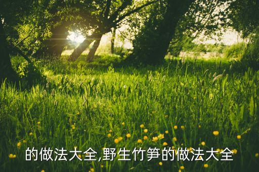 的做法大全,野生竹笋的做法大全