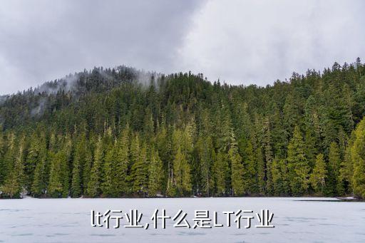 lt行业,什么是LT行业