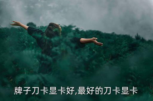 牌子刀卡显卡好,最好的刀卡显卡