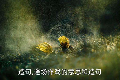 应酬造句,逢场作戏的意思和造句
