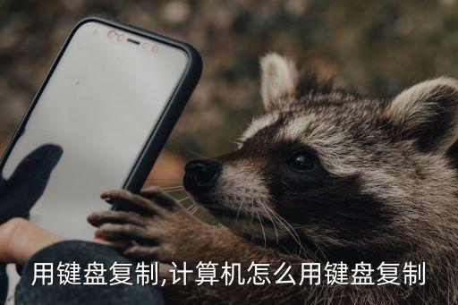 用键盘复制,计算机怎么用键盘复制