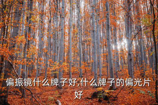 偏振镜什么牌子好,什么牌子的偏光片好