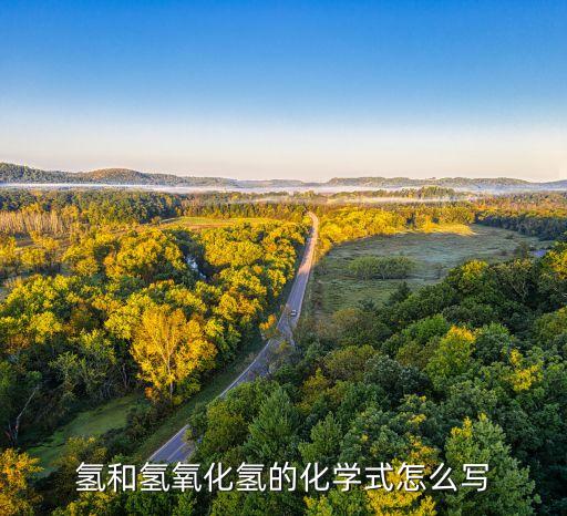 氧化氢和氢氧化氢的化学式怎么写?