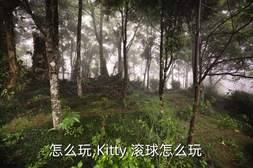 滚球怎么玩,Kitty 滚球怎么玩