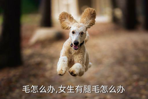 有腿毛怎么办,女生有腿毛怎么办