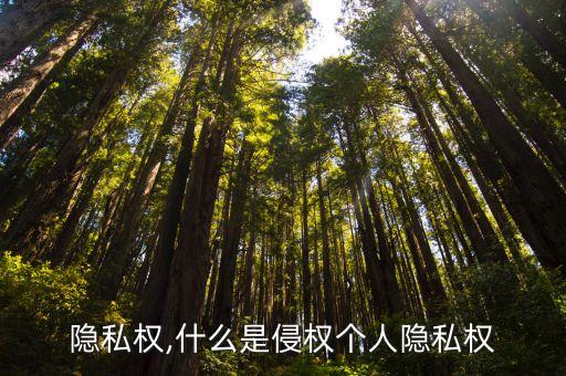 隐私权,什么是侵权个人隐私权