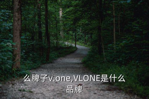 是什么牌子v.one,VLONE是什么品牌?