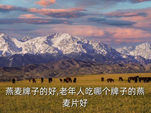 老人燕麦牌子的好,老年人吃哪个牌子的燕麦片好?
