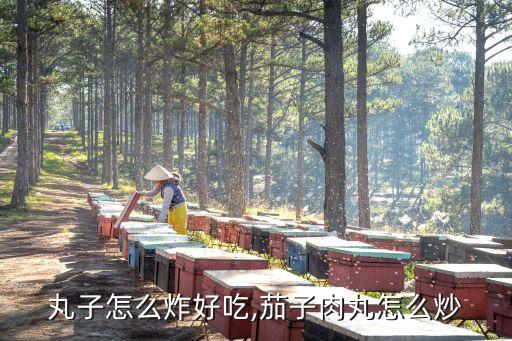茄子丸子怎么炸好吃,茄子肉丸怎么炒