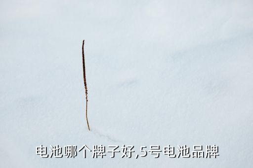 电池哪个牌子好,5号电池品牌