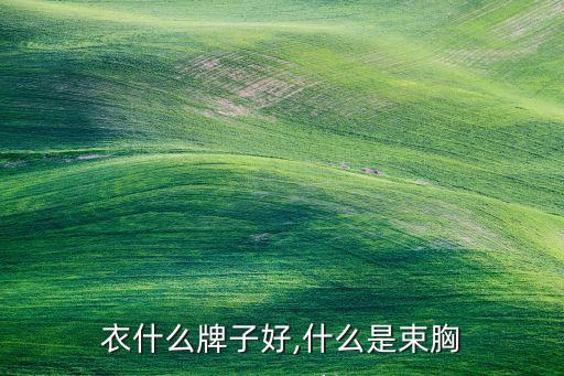 束身衣什么牌子好,什么是束胸?