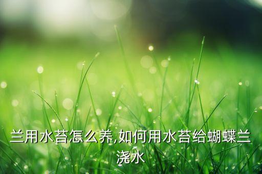 兰用水苔怎么养,如何用水苔给蝴蝶兰浇水