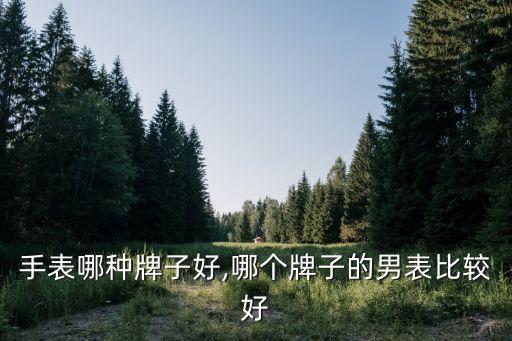 手表哪种牌子好,哪个牌子的男表比较好