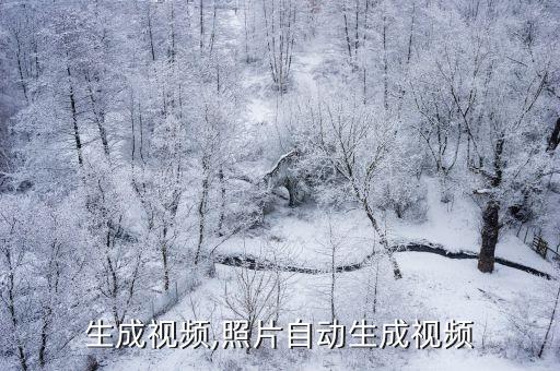 生成视频,照片自动生成视频