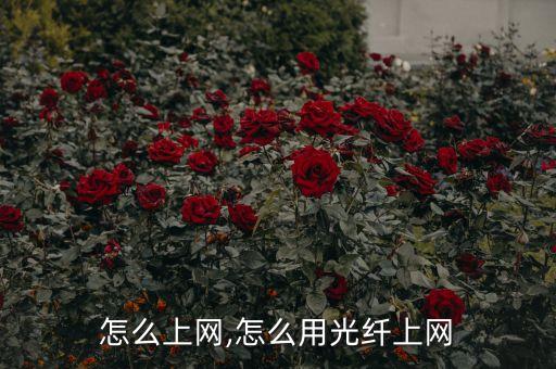 光钎怎么上网,怎么用光纤上网?