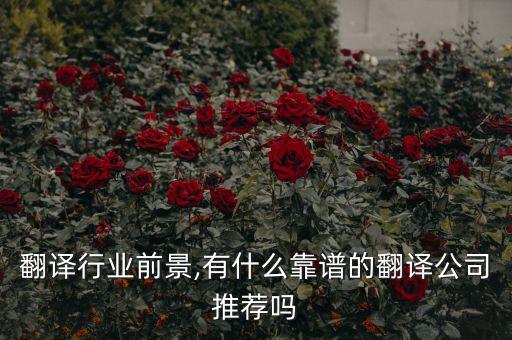 翻译行业前景,有什么靠谱的翻译公司推荐吗