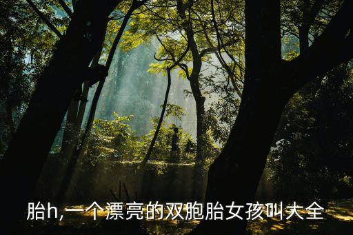 双胞胎h,一个漂亮的双胞胎女孩叫大全