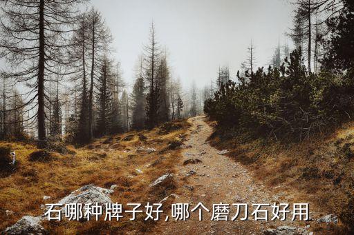磨刀石哪种牌子好,哪个磨刀石好用?