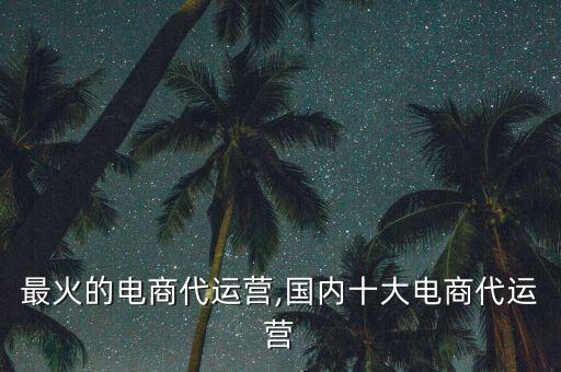 全国最火的电商代运营,国内十大电商代运营
