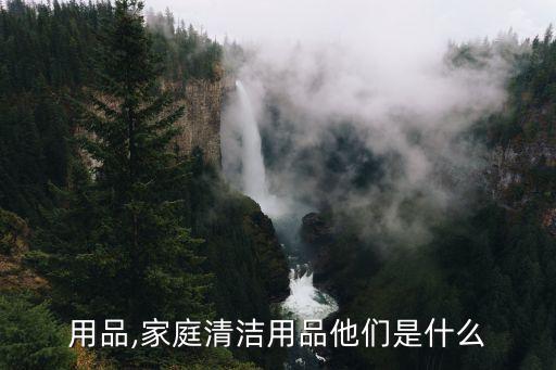 用品,家庭清洁用品他们是什么