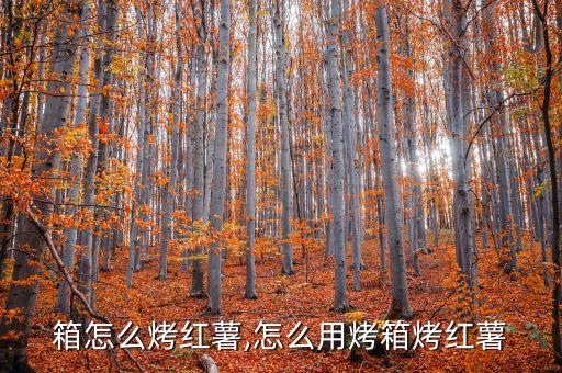 电烤箱怎么烤红薯,怎么用烤箱烤红薯