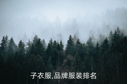 子衣服,品牌服装排名