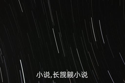 小说,长觊觎小说