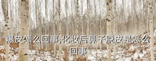 鼻子爆皮怎么回事,化妆后鼻子脱皮是怎么回事?