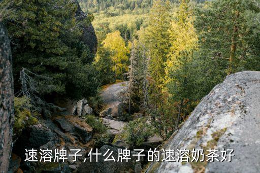 速溶牌子,什么牌子的速溶奶茶好