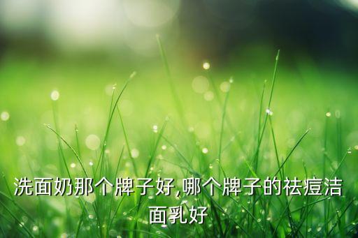 祛痘洗面奶那个牌子好,哪个牌子的祛痘洁面乳好?