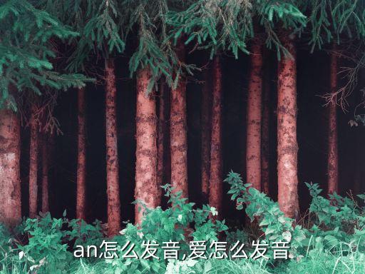 an怎么发音,爱怎么发音
