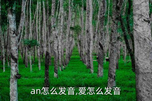 an怎么发音,爱怎么发音