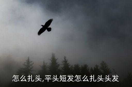 短发怎么扎头,平头短发怎么扎头头发