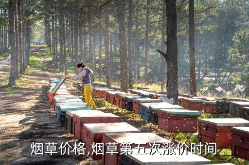 中国烟草价格,烟草第五次涨价时间