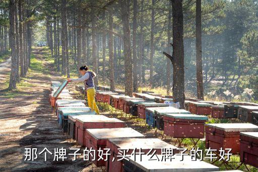 那个牌子的好,买什么牌子的车好