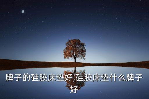 牌子的硅胶床垫好,硅胶床垫什么牌子好