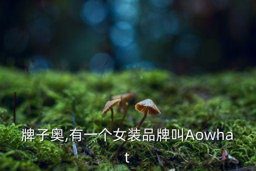 女装牌子奥,有一个女装品牌叫Aowhat