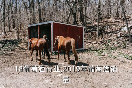 18葡萄酒行业,2019年葡萄酒销量