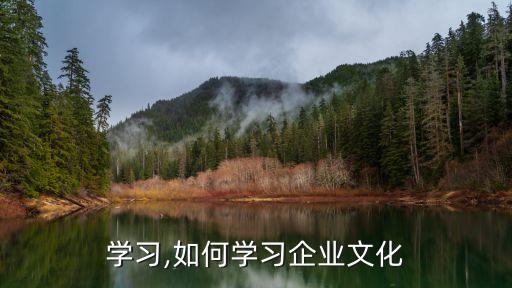 企业学习,如何学习企业文化