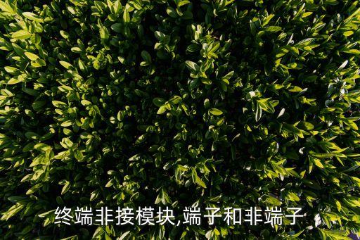 行业终端非接模块,端子和非端子
