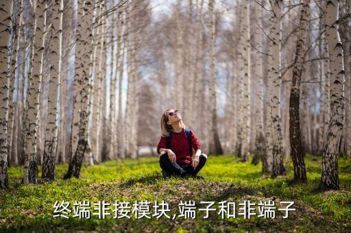 终端非接模块,端子和非端子
