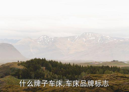 ls什么牌子车床,车床品牌标志