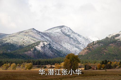 华,潜江张小华