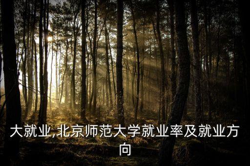 北师大就业,北京师范大学就业率及就业方向