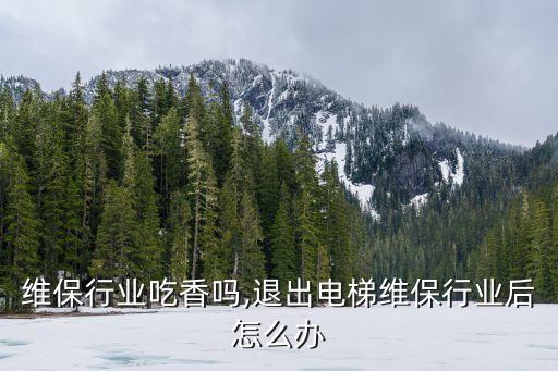 电梯维保行业吃香吗,退出电梯维保行业后怎么办?