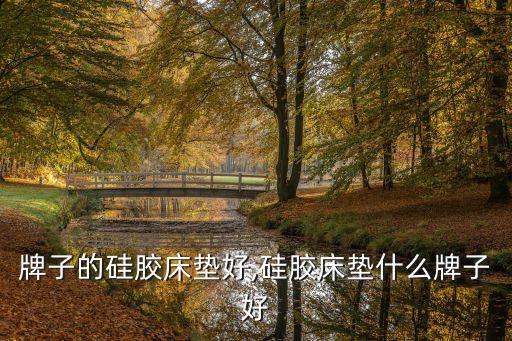 牌子的硅胶床垫好,硅胶床垫什么牌子好