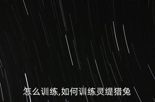 怎么训练,如何训练灵缇猎兔