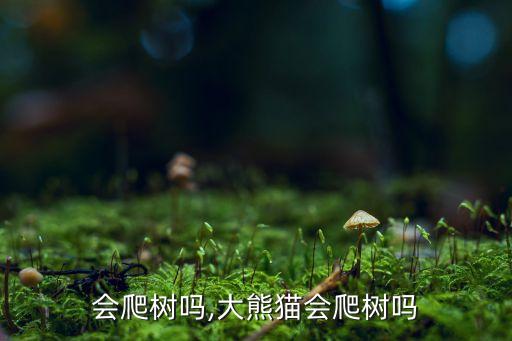 会爬树吗,大熊猫会爬树吗
