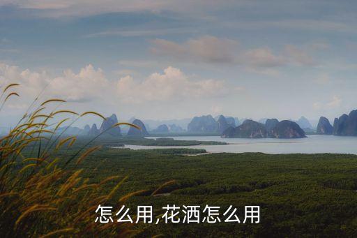 燃淋怎么用,花洒怎么用?