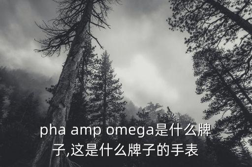 alpha amp omega是什么牌子,这是什么牌子的手表?